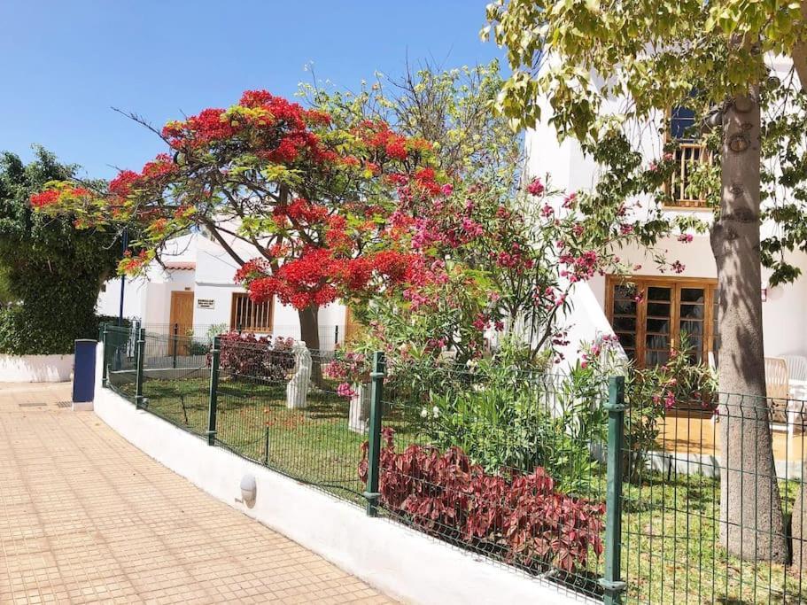 Apartment Lucia Garden Con Piscina Climatizada