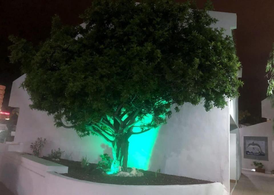 Lucia Garden Con Piscina Climatizada Apartment