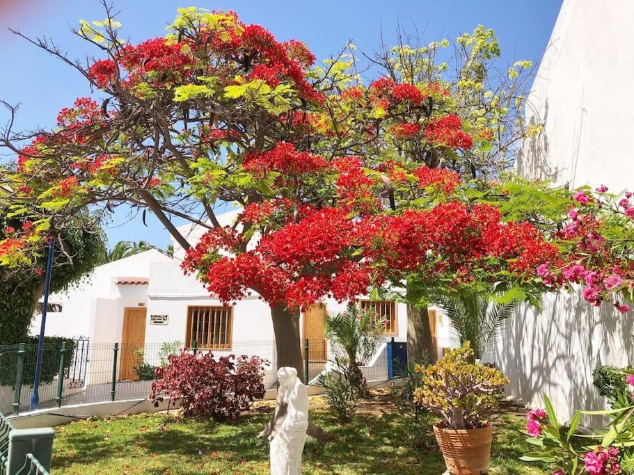 Lucia Garden Con Piscina Climatizada Playa Fanabe