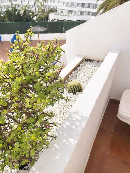 Lucia Garden Con Piscina Climatizada