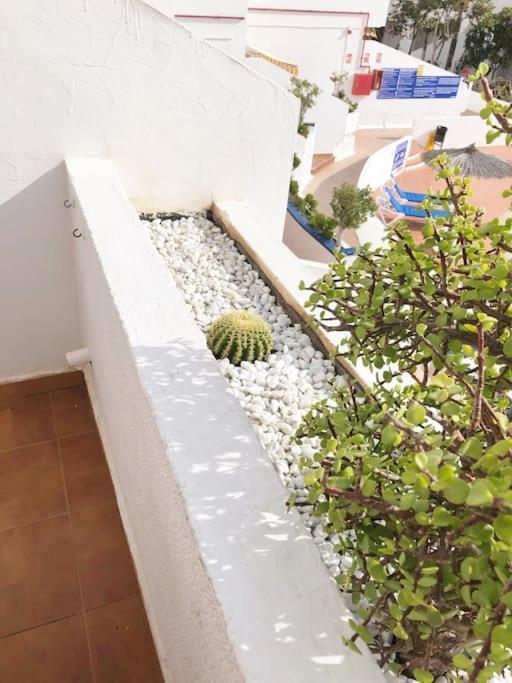 Appartamento Lucia Garden Con Piscina Climatizada